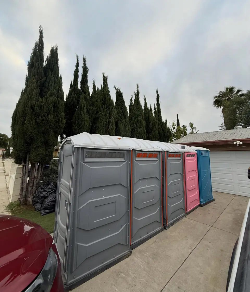 Row of porta potties lined up along a driveway